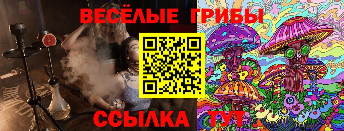 Псилоцибиновые грибы Psilocybe Коломна